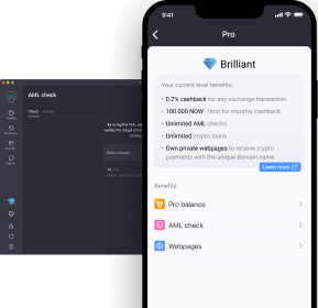 The Crypto Wallet, NOW and ever